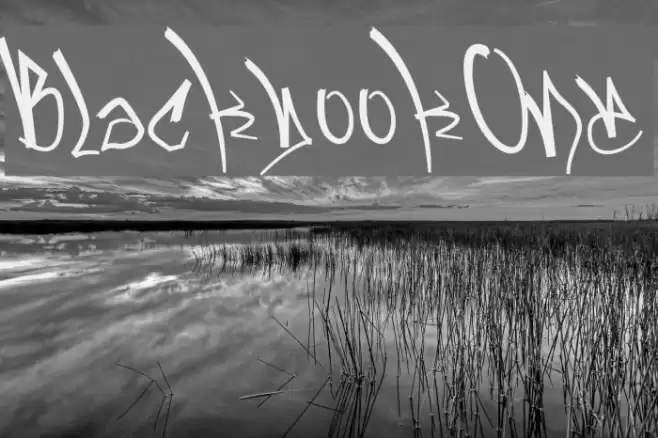 BlackbookOne Font examples