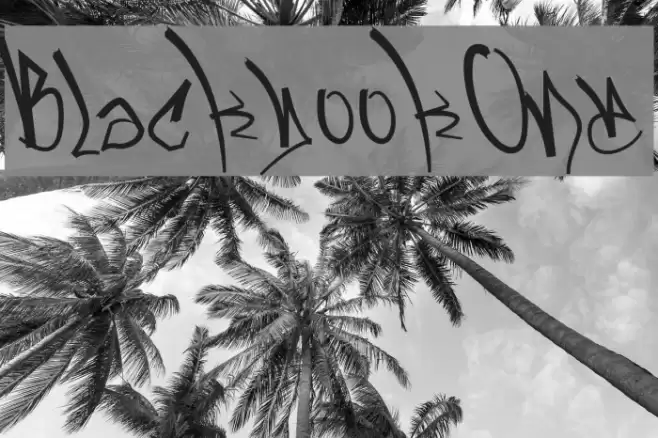 BlackbookOne Font examples