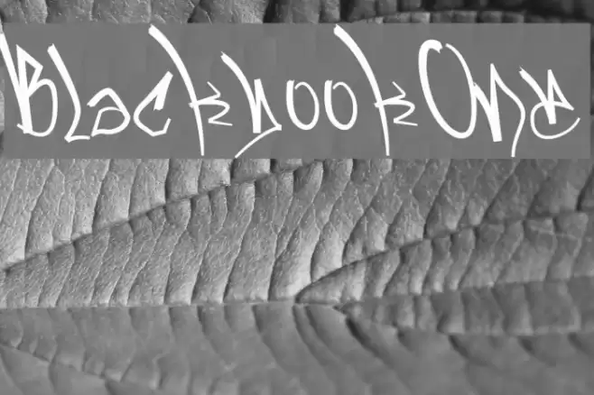 BlackbookOne Font examples