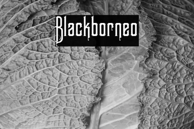 Blackborneo Font examples