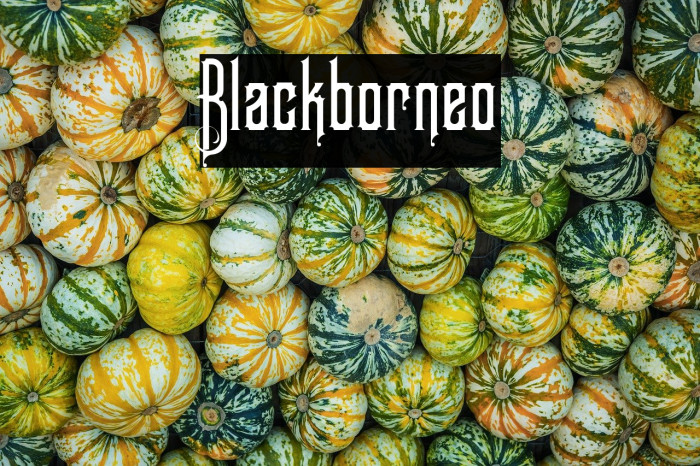 Blackborneo Example 2