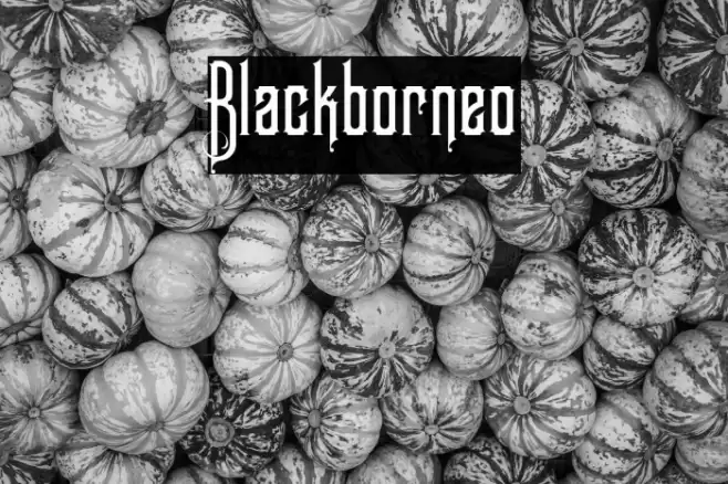 Blackborneo Font examples