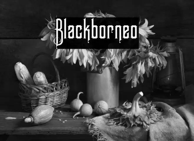Blackborneo Font examples