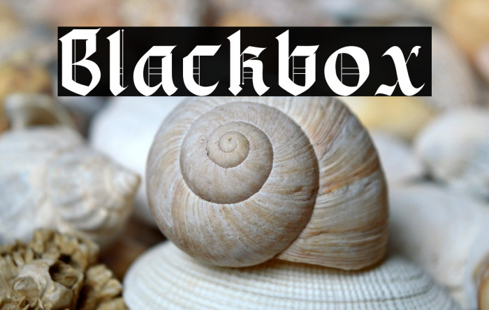 Blackbox Example 2