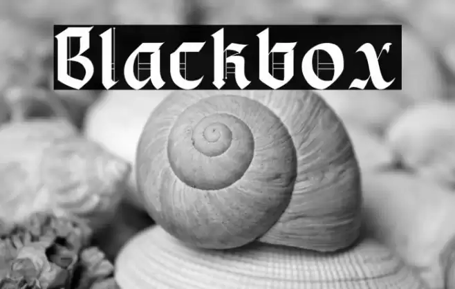 Blackbox Font examples