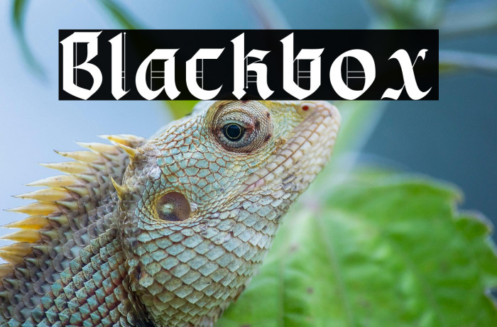 Blackbox Example 3