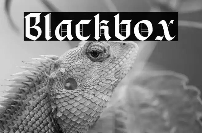 Blackbox Font examples