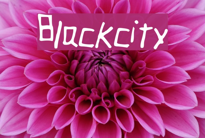Blackcity Font examples