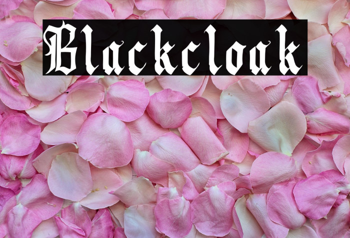 Blackcloak Example 3