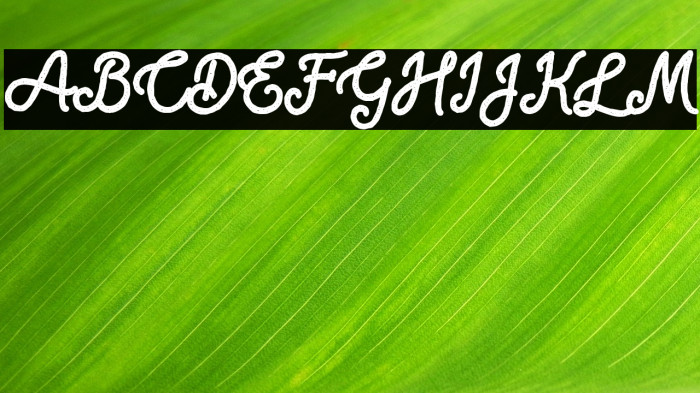 Blackcode Script Stamp Free for Example 1