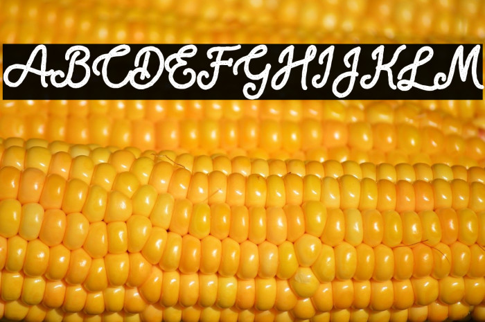 Blackcode Script Stamp Free for Example 2