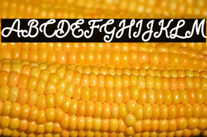 Blackcode Script Stamp Free for Example 2