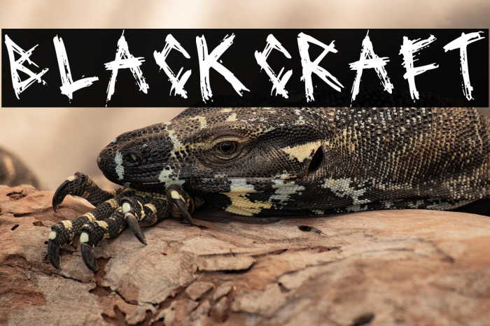 Blackcraft Example 2