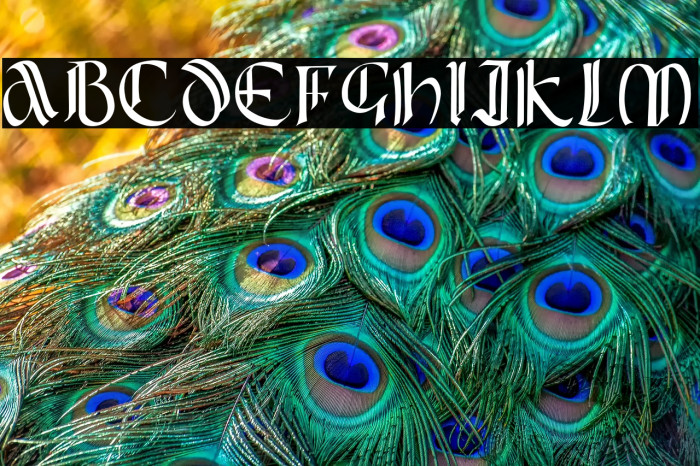 Blackdiamond Example 1