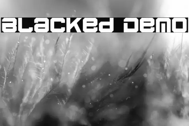 Blacked Demo Font examples