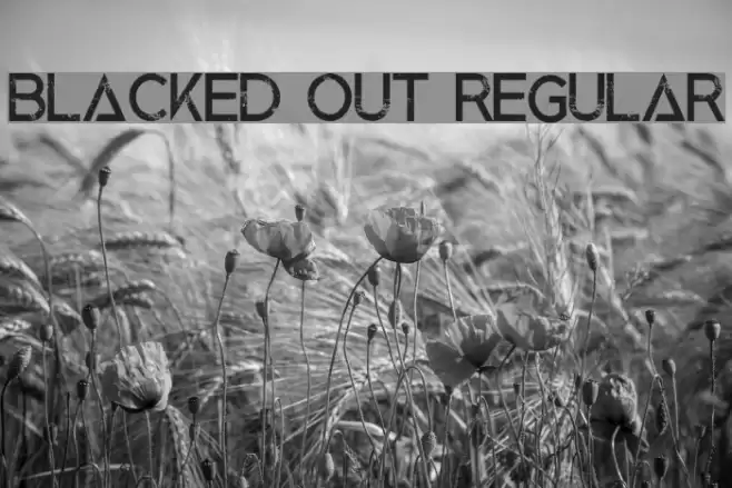 Blacked Out Regular Font examples