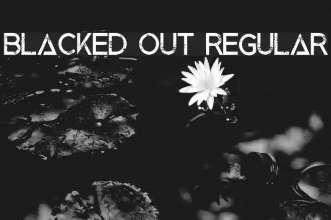 Blacked Out Regular Font examples