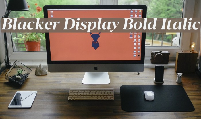Blacker Display Bold Italic Example 1