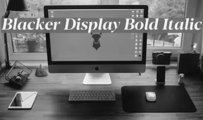 Blacker Display Bold Italic Font examples