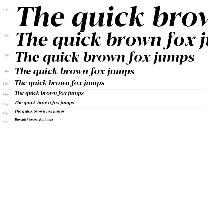 Blacker Display Bold Italic Waterfall