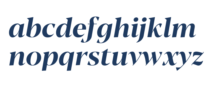 Blacker Display Bold Italic Lowercase