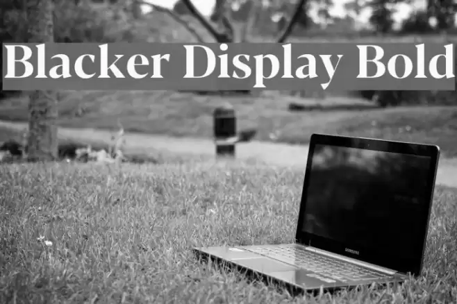 Blacker Display Bold Font examples