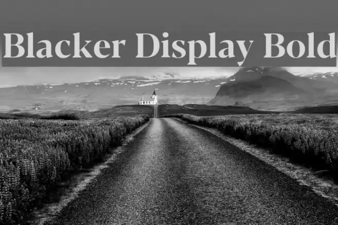 Blacker Display Bold Font examples