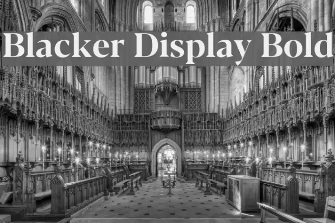 Blacker Display Bold Font examples
