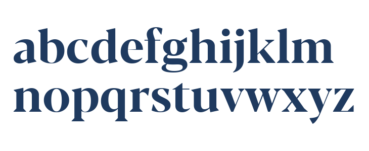 Blacker Display Bold Lowercase