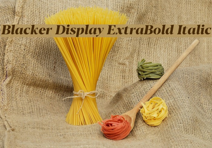 Blacker Display ExtraBold Italic Example 1