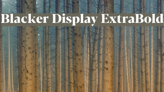 Blacker Display ExtraBold Font examples