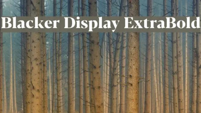 Blacker Display ExtraBold Example 2