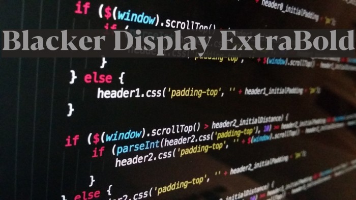 Blacker Display ExtraBold Font examples