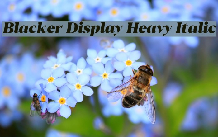 Blacker Display Heavy Italic Example 2