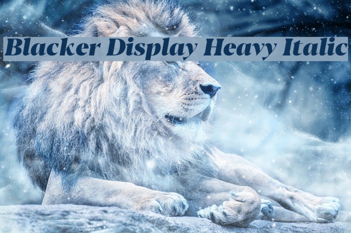 Blacker Display Heavy Italic Example 3