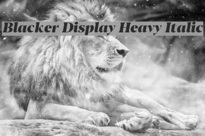 Blacker Display Heavy Italic Font examples