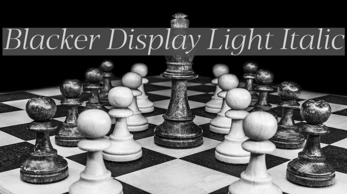 Blacker Display Light Italic Font examples