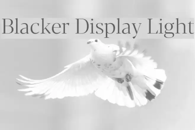 Blacker Display Light Font examples