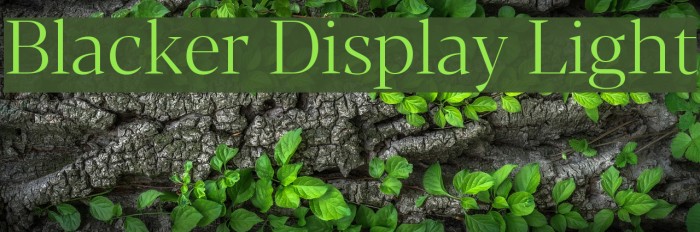 Blacker Display Light Font examples