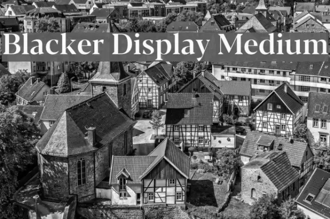 Blacker Display Medium Font examples
