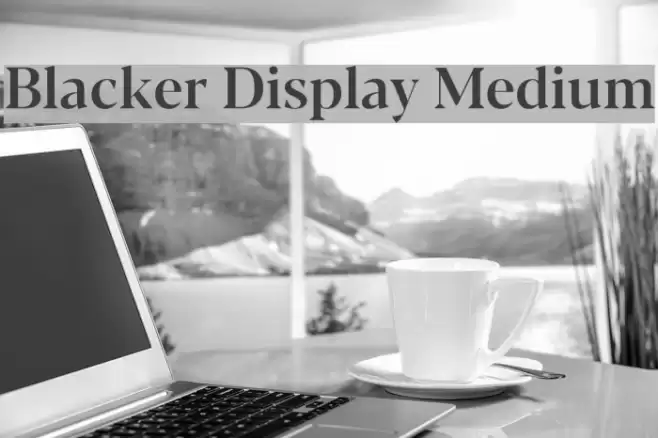 Blacker Display Medium Font examples
