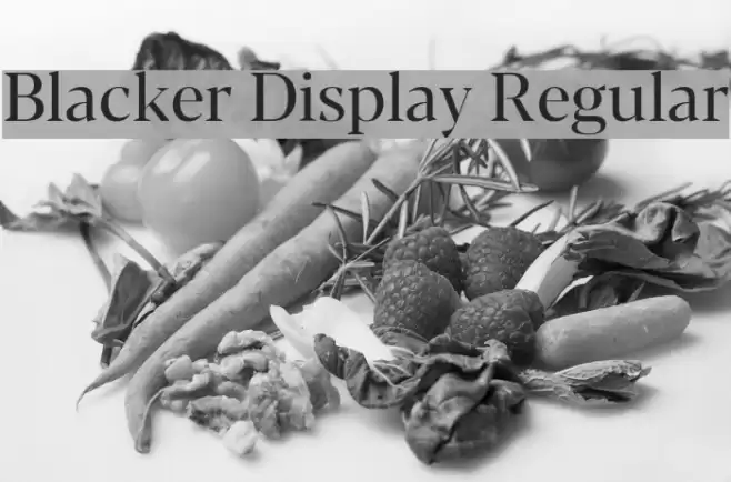 Blacker Display Regular Font examples