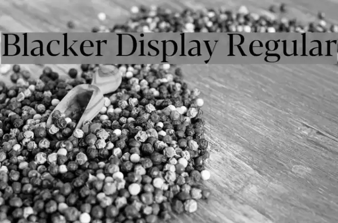 Blacker Display Regular Font examples