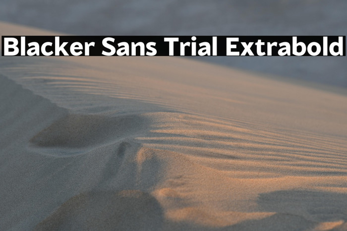 Blacker Sans Trial Extrabold Example 1
