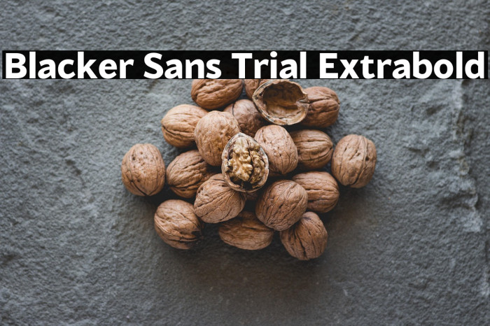Blacker Sans Trial Extrabold Example 3