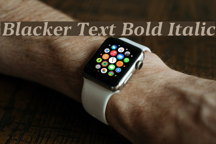Blacker Text Bold Italic Font examples