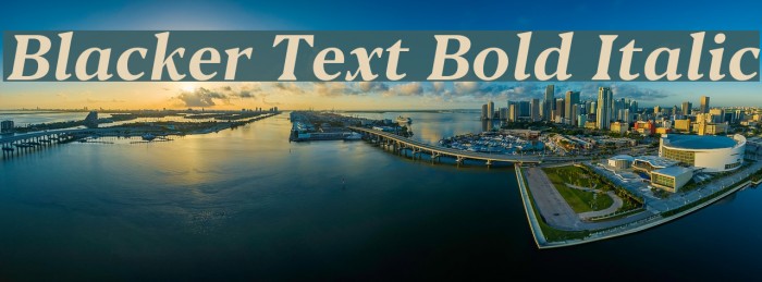 Blacker Text Bold Italic Font examples