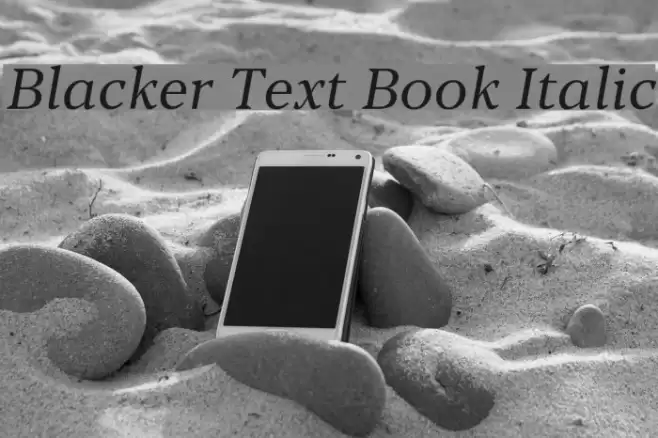 Blacker Text Book Italic Font examples