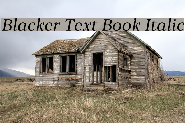 Blacker Text Book Italic Example 3