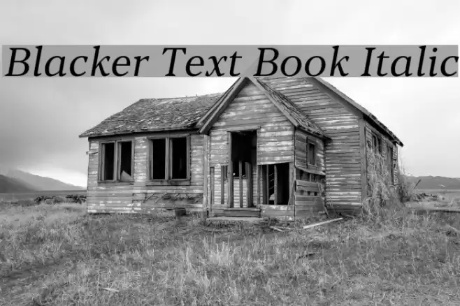 Blacker Text Book Italic Font examples